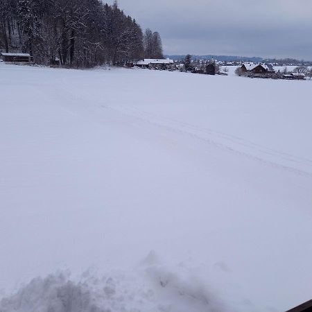 Haus Maier Appartement Marquartstein Buitenkant foto